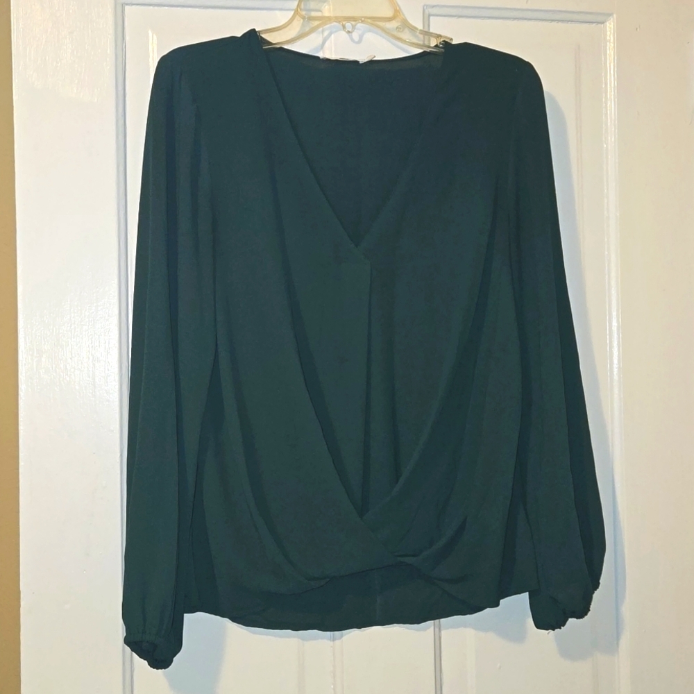Gorgeous, dressy blouse